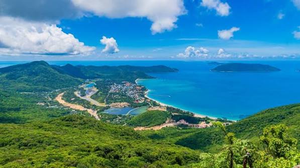 Vũng tàu ne
